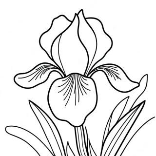 Página para Colorir Flor de Íris | Página para colorir de Íris