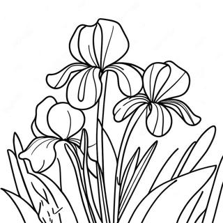 Página para Colorir Jardim de Íris Bonito | Página para colorir de Íris
